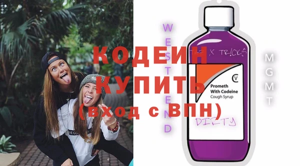 гашик Горняк