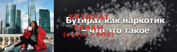 гашик Горняк