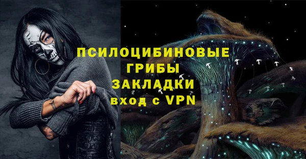 гашик Горняк