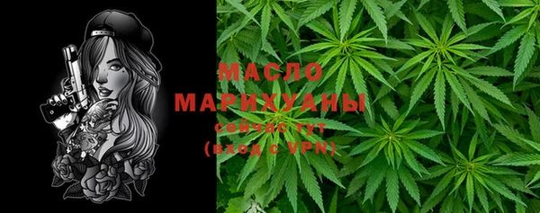 гашик Горняк
