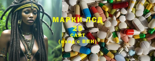 гашик Горняк